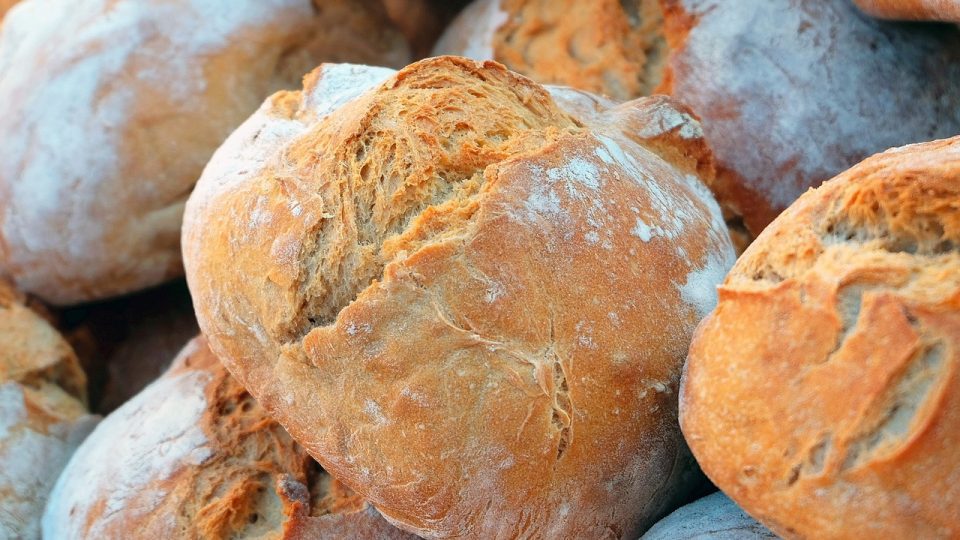 Brood